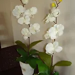 Apartament Przy Rynku *