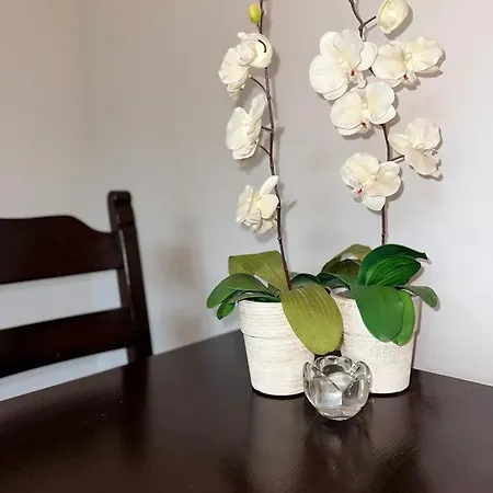 公寓 普瑞兹莱库公寓 波兹南