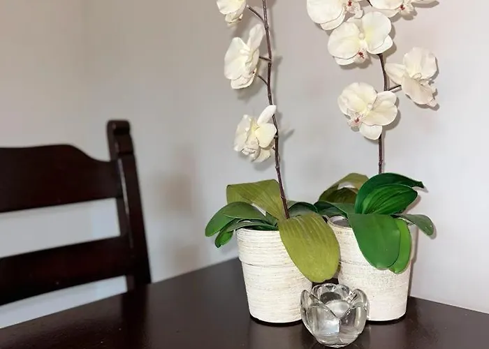 公寓 普瑞兹莱库公寓 波兹南