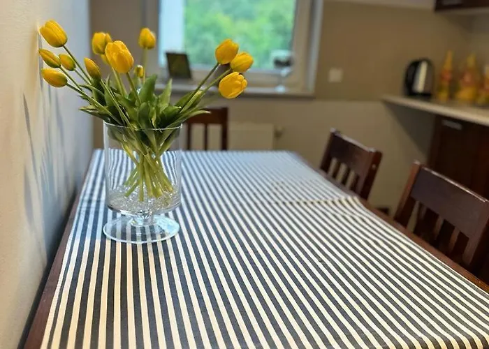 普瑞兹莱库公寓 *