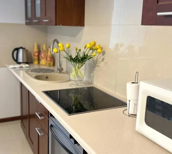 Apartament Przy Rynku * Poznan